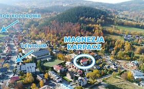 Magnezja